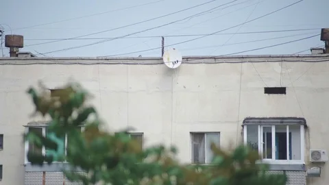 Satellite dish on the wall of a multistory building Stock Footage 110836689