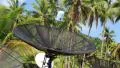 Satellite dishes in wood amongst palm trees on the Koh-Chang island in Thailand HD Footage
