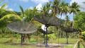Satellite dishes in wood amongst palm trees on the Koh-Chang island in Thailand HD Footage