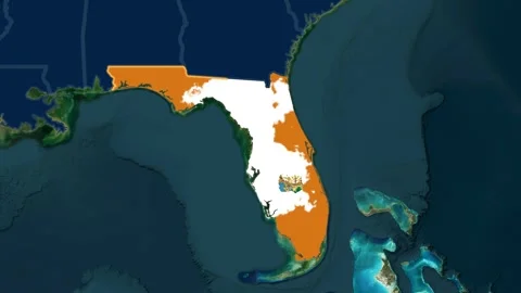 Satellite map animation of Florida, USA. Blinking territory, state flag, name Stock Footage 345024995