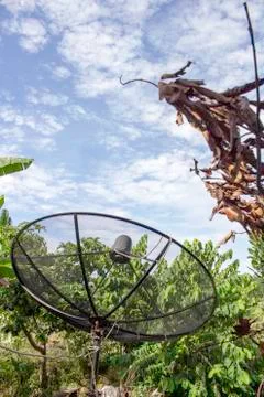 Satellite Stock Photos