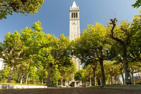 Sather Tower and surrounding trees at UC Berkeley Stock Photos