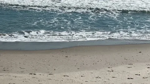 Satillite Beach Surfing Stock Footage 230343069
