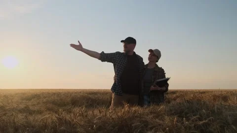 Satisfaction about a good harvest. Stock Footage 339675169