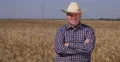 Satisfied Farmer Looking Around at Wheat Crop and Smile Happy to Press Reporter 4k or 4k+ Resolution
