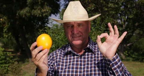 Satisfied Farmer Looking Camera Show Ripe Orange Tropical Fruit Ok Hand Sign Stock Footage 83654773