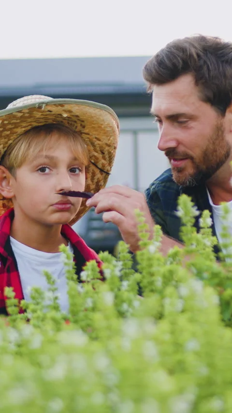 Satisfied father with his son working in green field. Dad teaching his child cor Stock Footage 330303198