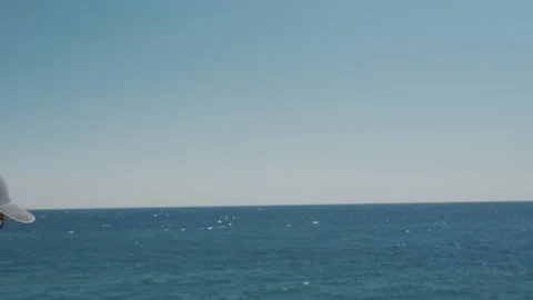 Satisfied man standing on mountain top and raising his arms to the sky Stock-Footage 137873588