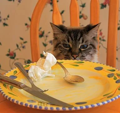 Satisfied Stockfoto's