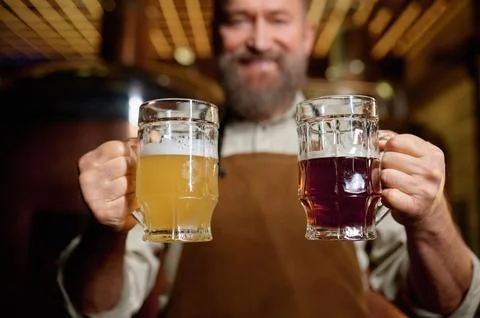 Satisfied senior brewer posing for camera with pale ale and dark beer pint Stock Photos