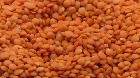 Satisfying red lentils pattern Stock Footage 327793344