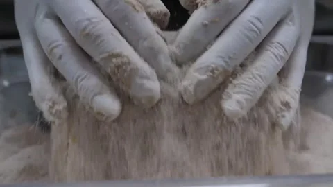 Satisfying Squeeze of Real Pineapple Creating Thick White Suds Video stock 332811624