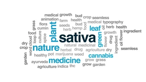 Sativa animated word cloud. Kinetic typography. Stock Footage 107943511