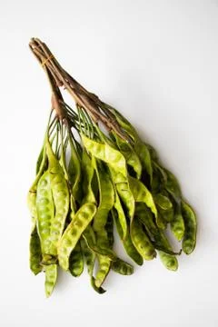 Sato on white background Stock Photos