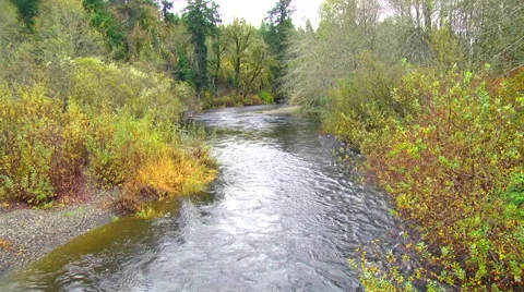 Satsop River Olympic Peninsula Washington State in fall Stock Footage 44265802