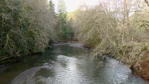Satsop river in winter Olympic Peninsula Wa. State Stock Footage 71017075