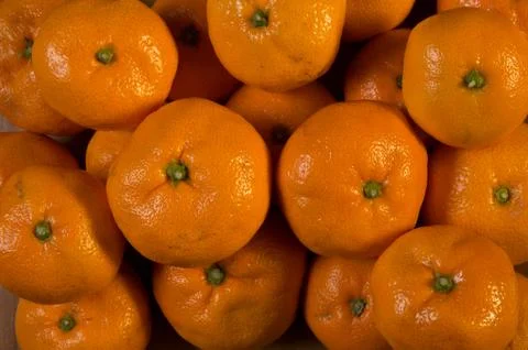 Satsuma Mandarin Oranges Stock Photos