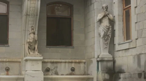 Satyr grass Stock Footage 48818849