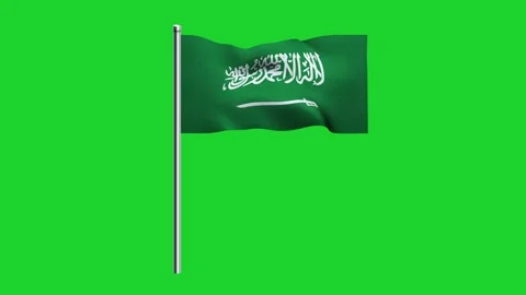 Saudi Arab flag waving in wind with stick animation isolated on green background Stock Footage 323199972