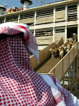 Saudi Arabia Eid - Jan 2005 Stock Photos