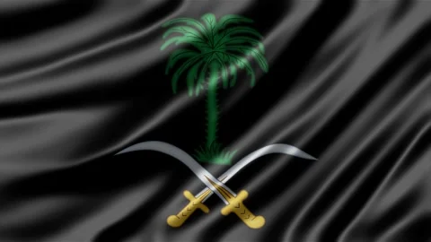 Saudi Arabia flag animation featuring a waving fabric texture Stock Footage 344846226