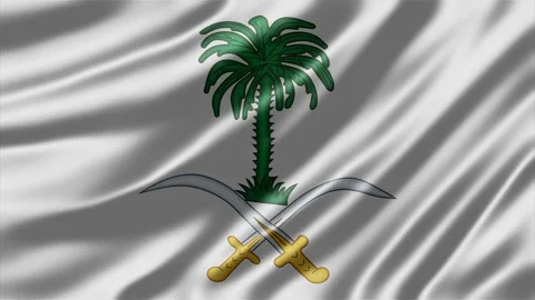 Saudi Arabia flag animation featuring a waving fabric texture Stock Footage 344846252