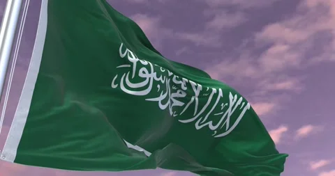 Saudi Arabia Flag Animation Minimal Corporate Video Stock Footage 343629986