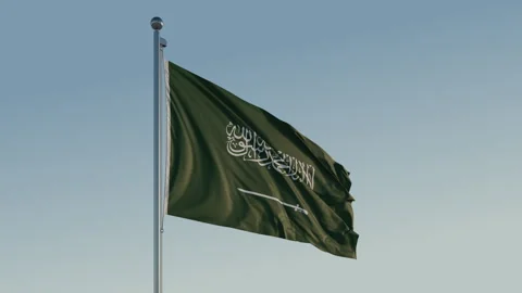 Saudi Arabia Flag: Cinematic Loopable Motion with Blue Sky in 4K ProRes 422 HQ 스톡 동영상 267462064
