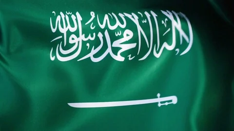 Saudi Arabia Flag Flapping Video stock 118969765