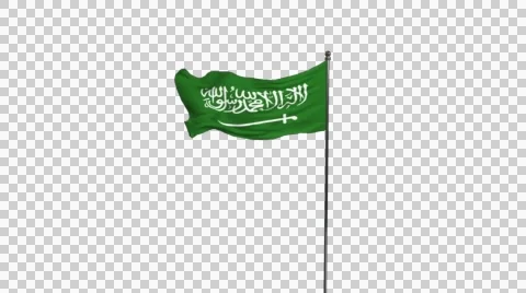 Saudi arabia flag Video stock 41451621