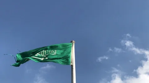 Saudi Arabia flag. Stock Footage 94320017
