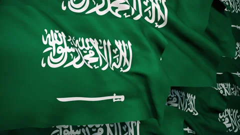 Saudi-Arabia flag Stock Footage 144981695