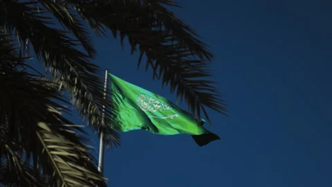 Saudi arabia flag Stock Footage 231693430