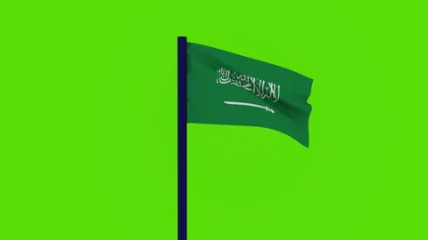 Saudi Arabia Flag 스톡 동영상 256306243