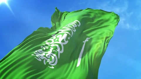 Saudi Arabia Flag Low Angle View Stock-Footage 295702490