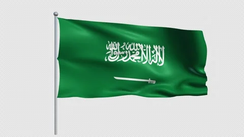 Saudi Arabia flag - Pack 1 Stock Footage 342290361