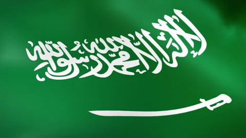 Saudi Arabia flag - Pack 2 Stock Footage 342289089