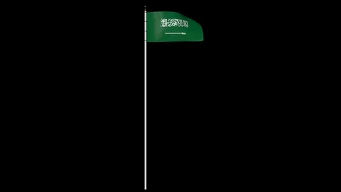 Saudi Arabia Flag on Pole with Alpha Channel 库存影片 87550270