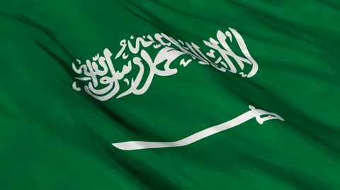 Saudi Arabia FLAG Seamless 스톡 동영상 48624293