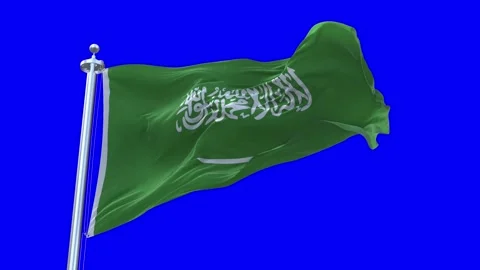 Saudi Arabia Flag Waving in Loopable and Textured green screen background Stock Footage 296876216