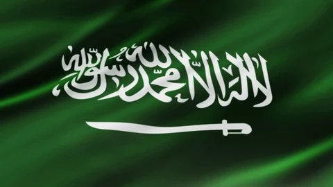 Saudi Arabia flag waving in wind video footage Stock Footage 120301549