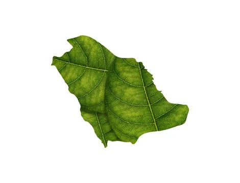 Saudi Arabia map made of green leaves on white background ecology concept Stock Illustration