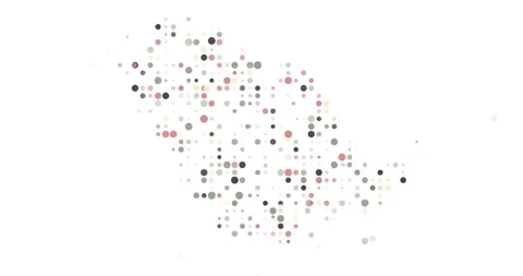 Saudi Arabia Territory Visualized With Circles Stock Footage 317008528