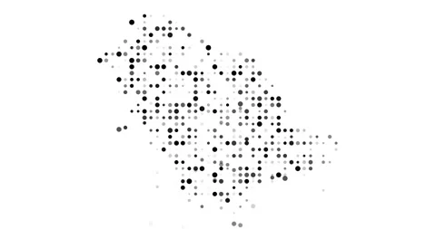 Saudi Arabia Territory Visualized With Circles Stock Footage 317008547