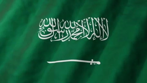 Saudi Arabia waving Flag 3D Animation Seamless Loop Background Stock Footage 327115733