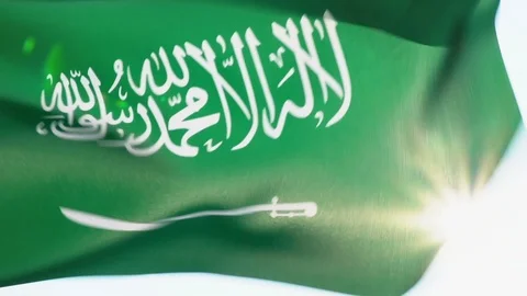 Saudi Arabian Flag Flapping Stock Footage 118961225
