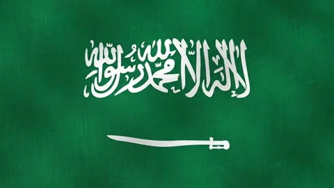 Saudi Arabian flag waving gently Stock Footage 340180239