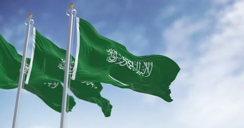 Saudi Arabian flags waving in the wind with national emblem and green field Stock-Footage 305597462