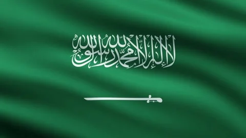 Saudi Flag Waving Full Screen Background Animation Stock Footage 265159758