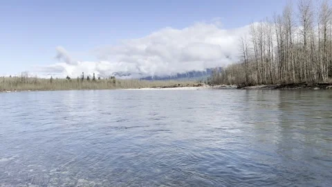 Sauk river back of large run Stock Footage 270228604